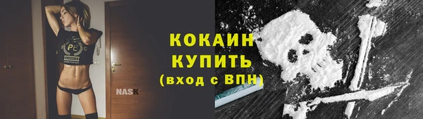 дживик Абинск
