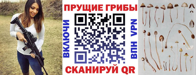 купить   Иваново  Галлюциногенные грибы Cubensis 