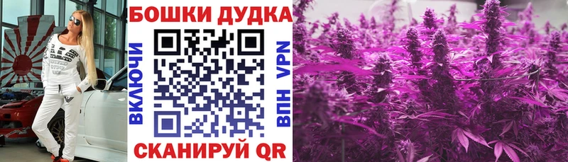 что такое наркотик  Иваново  MEGA вход  Бошки марихуана SATIVA & INDICA 